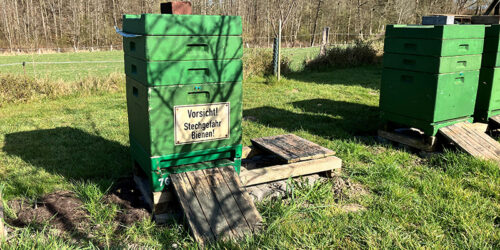 Honigräume im April auf die Bienenvölker zur Rapsernte